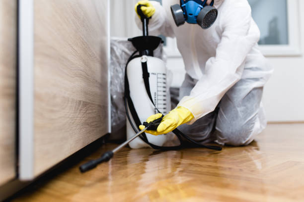 Best Rat Extermination Near Me  in Knightdale, NC