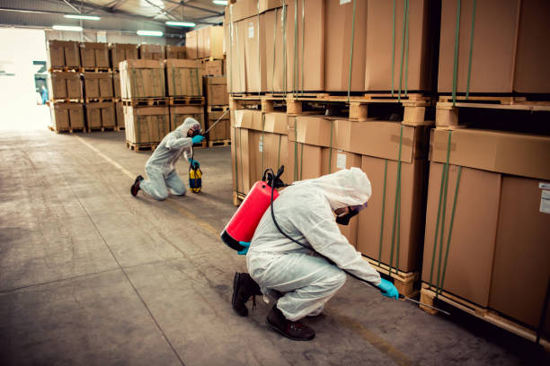 Best Pest Control Cost  in Knightdale, NC