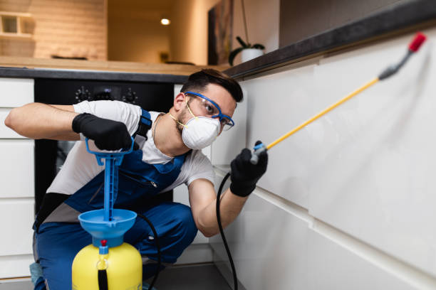 Best Local Pest Control Services  in Knightdale, NC