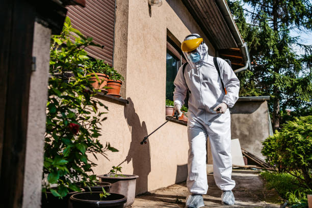 Best Best Pest Control Companies  in Knightdale, NC