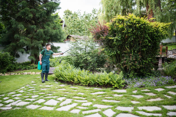 Best Wasp Removal Services  in Knightdale, NC