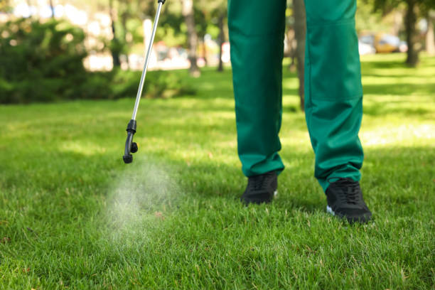Best Insect Control  in Knightdale, NC