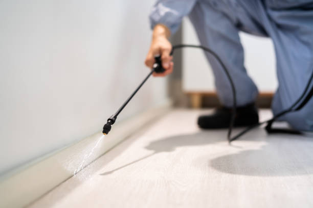 Pest Control for Restaurants in Knightdale, NC