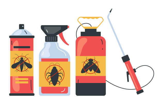 Professional Pest Control in Knightdale, NC