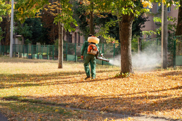 Best Pest Removal Services  in Knightdale, NC